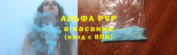 гидра Белокуриха