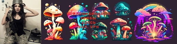 стафф Билибино