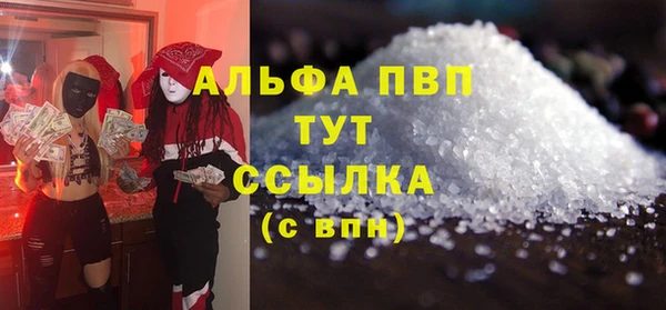 гидра Белокуриха